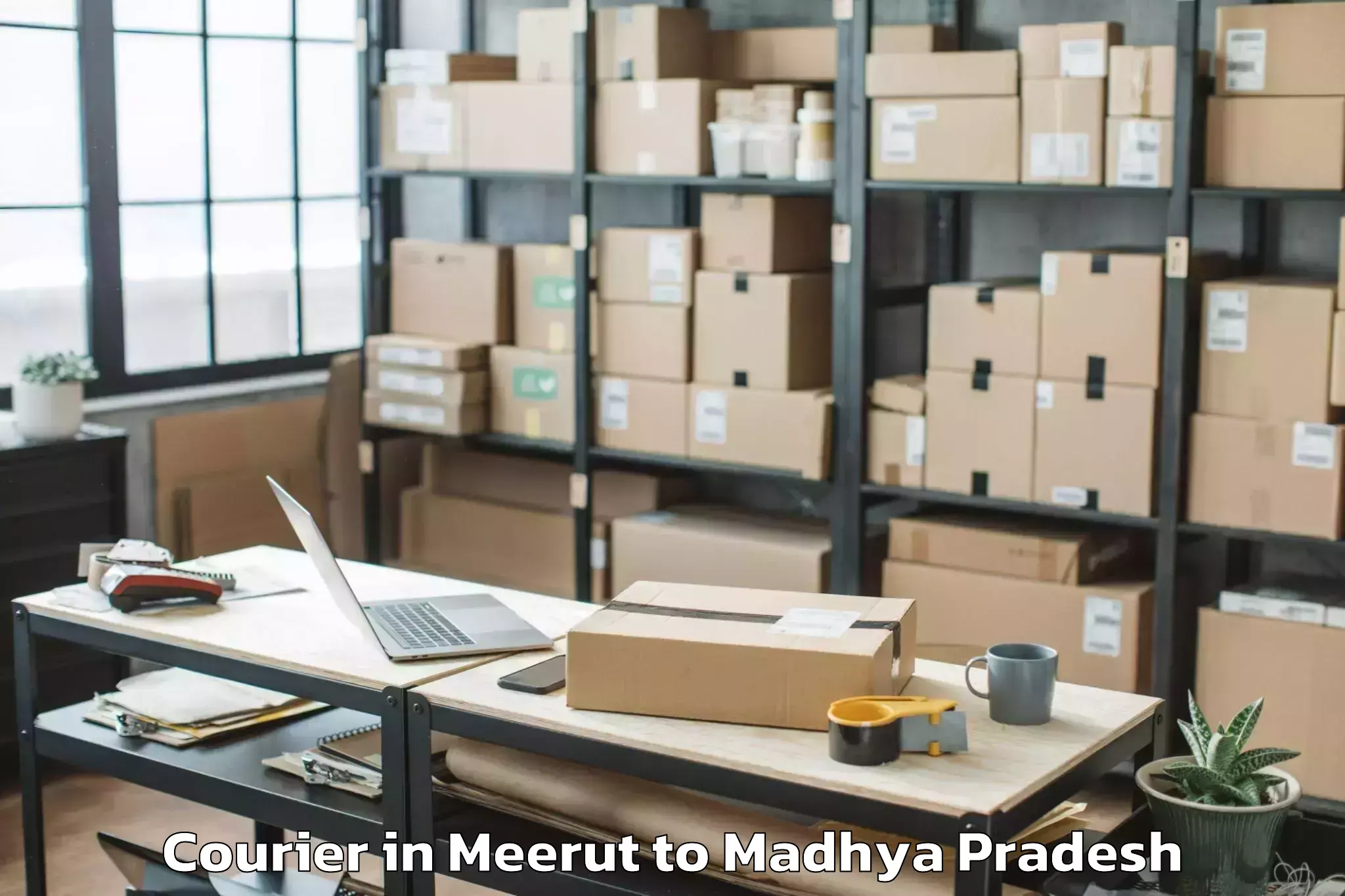 Book Meerut to Ghughri Courier